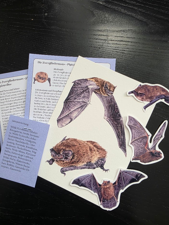 Fauna & Flora Print Club