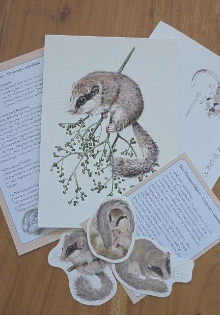 Fauna & Flora Print Club