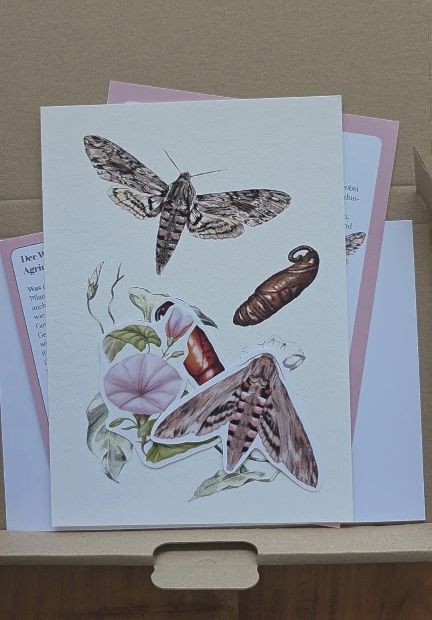 Fauna & Flora Print Club