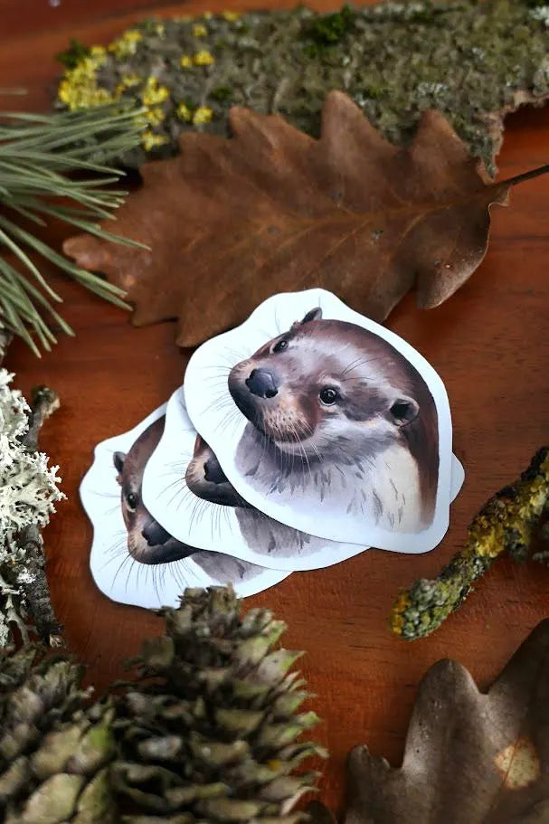 Otter
