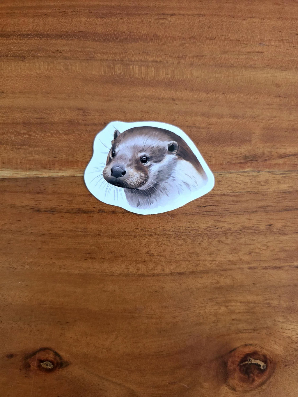Otter