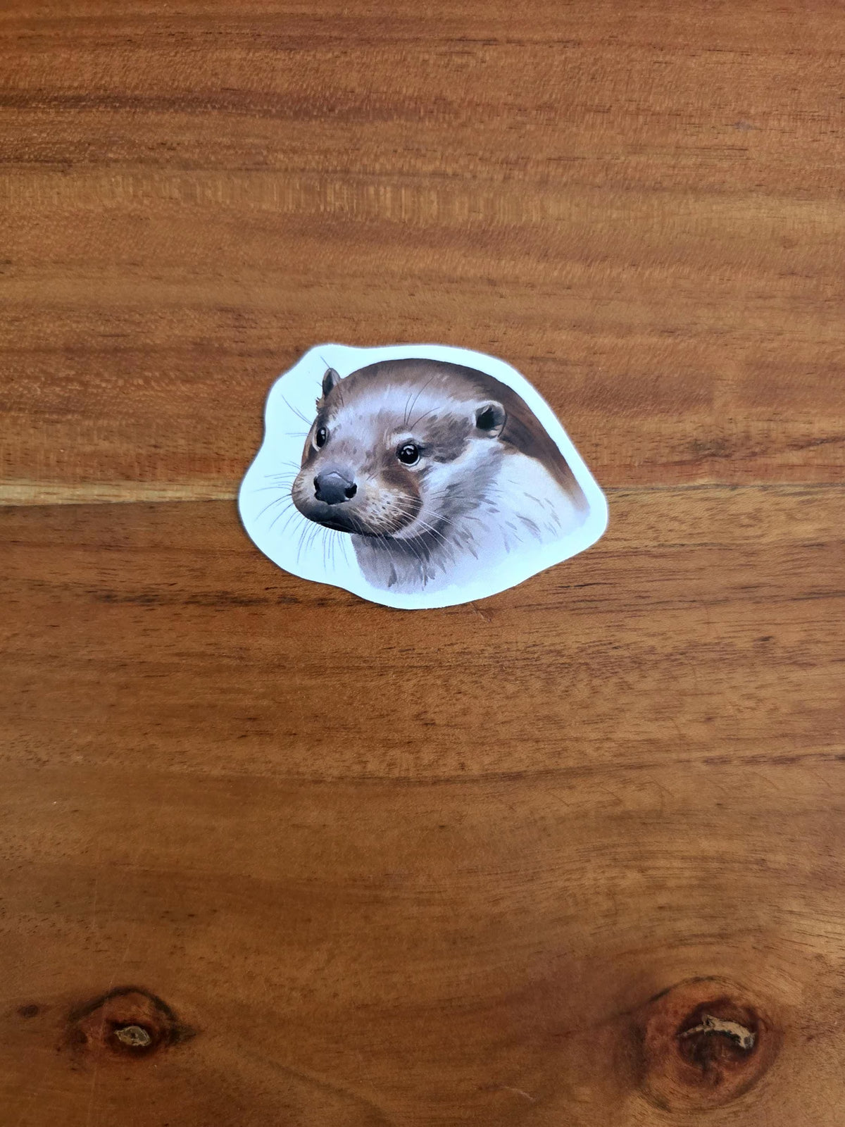 Otter
