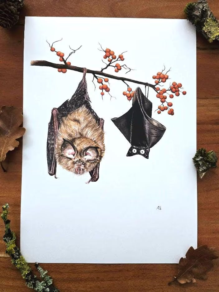 Fledermaus Halloween