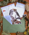 Fauna & Flora Print Club